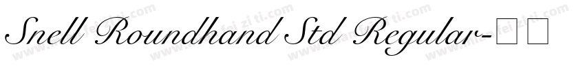 Snell Roundhand Std Regular字体转换